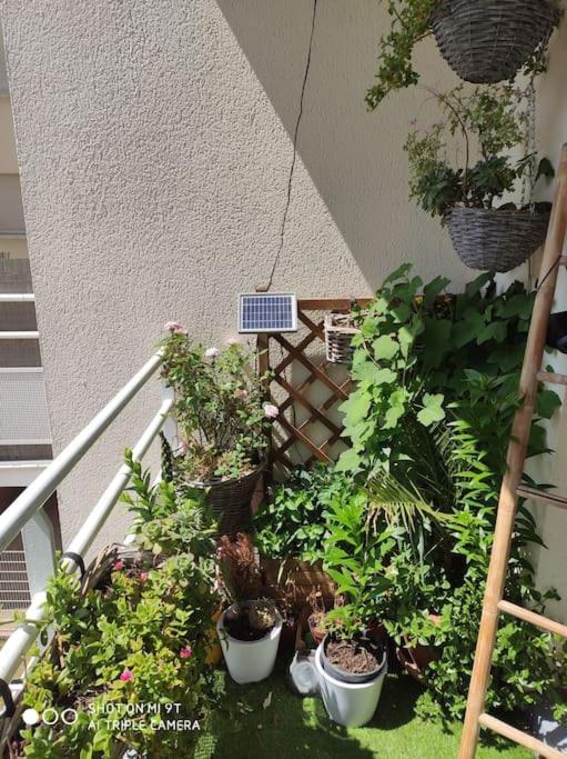 Appartement Cosy Et Calme Dugny Экстерьер фото